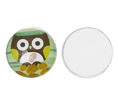 Glazen Cabochon Uiltje