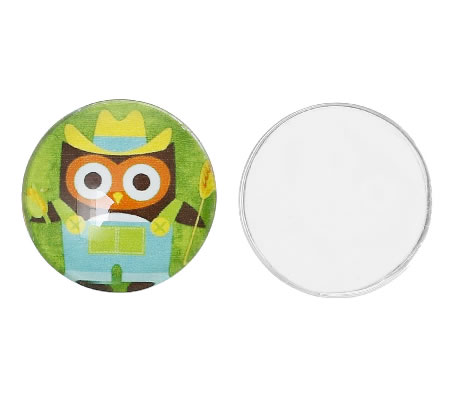 Glazen Cabochon Uiltje