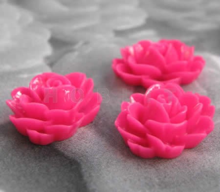 Roosje Fuchsia