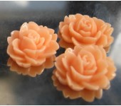 1x roosje zalm/oranje