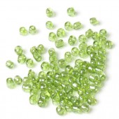 20 gram Rocaille Licht Mosgroen AB (regenboog)