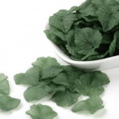 25x Frosted Blaadjes Donker Groen