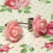 1 Paar Stekertjes Roosje Roze