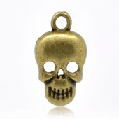 1x Skull Bedeltje Brons