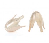 2x Kapjes RoseGold 10 mm